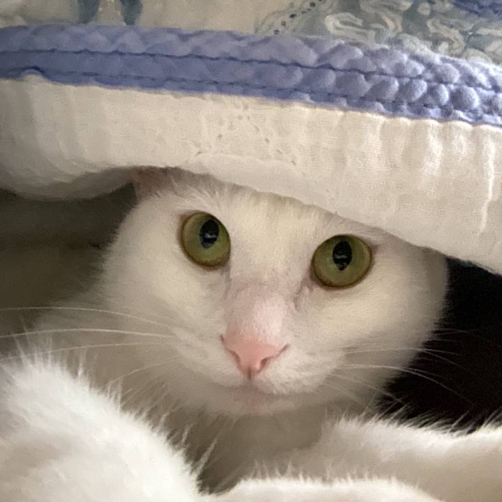 6739cbd9 2968 408b bfe2 09fdf10c0281 1660543413377