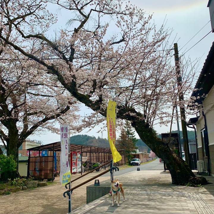 6739cd40 f3d6 48da a7fb 0d5808728510 1617095144854