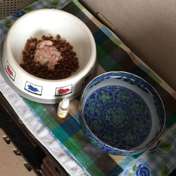 6739d2a2 057f 4cfb 98c2 fe7e24b89a88 1525039920270