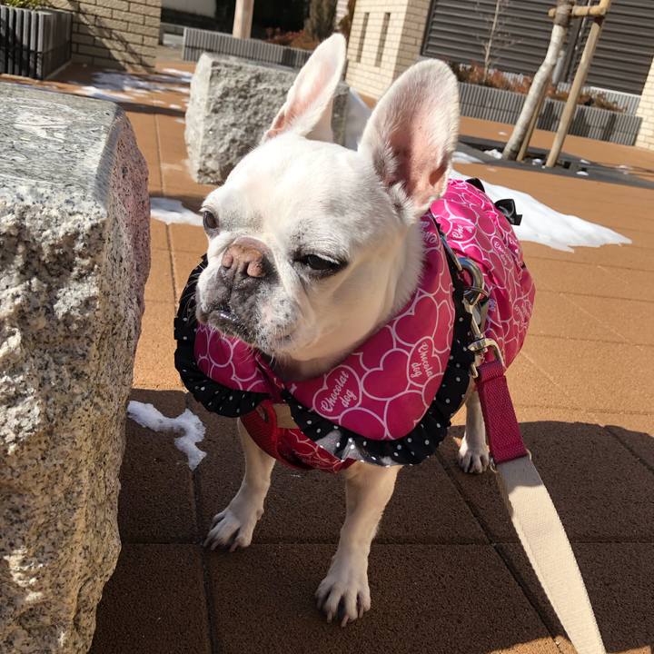 6739dbaf 07f3 402e 9ec4 27c0a88f2a88 1676093196799