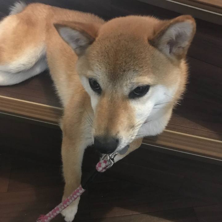 6739de74 df08 4fac 8400 7fb1e09ee2eb 1529396083373