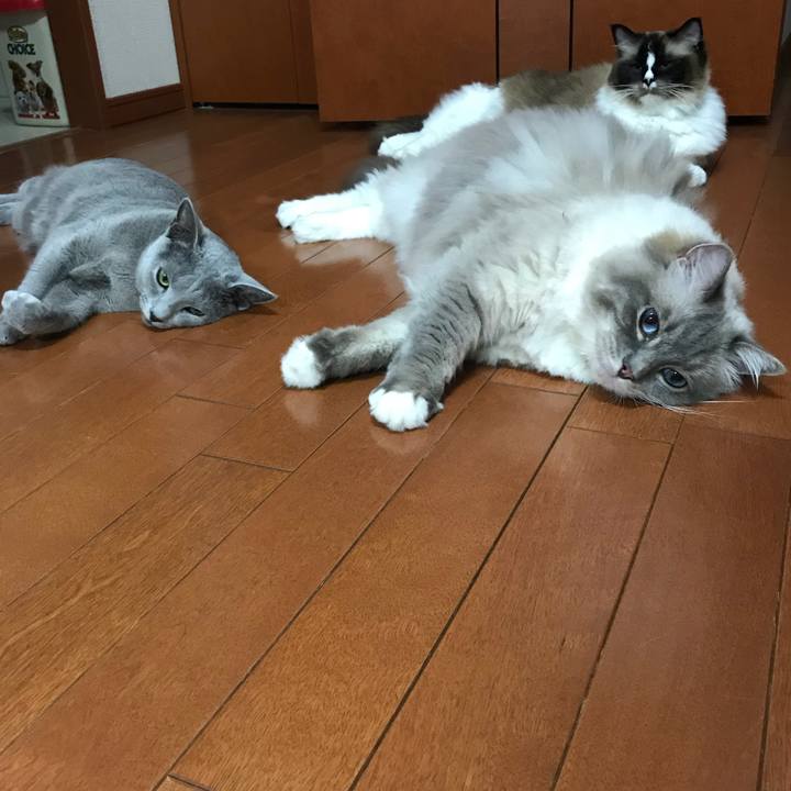 673a1490 f057 4b6a aeba e3155d2d5e64 1532176838765