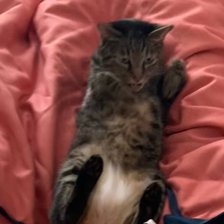 673a24f7 01bc 404b 97ee d3dc4568b6c1 1661435058097