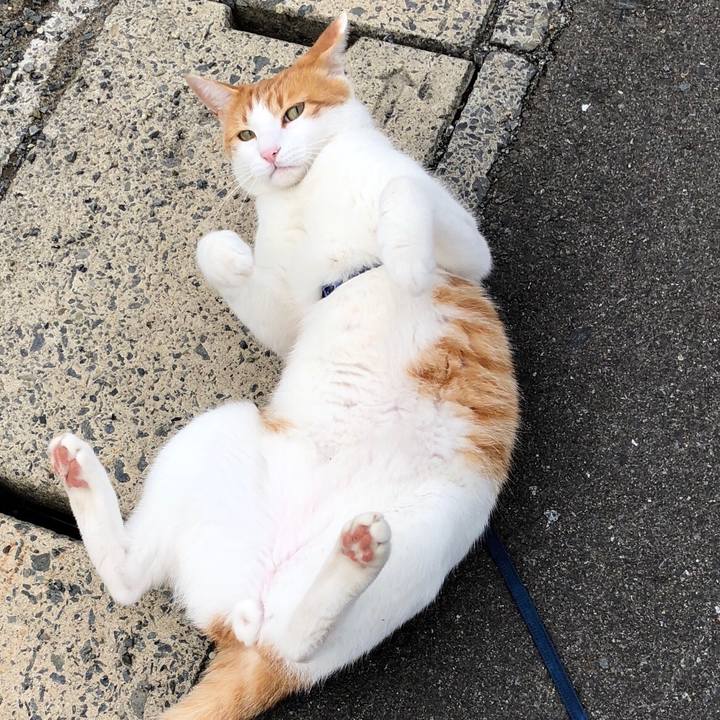 673a2f53 d680 4601 be1c 50ec9517cb6c 1541570308775