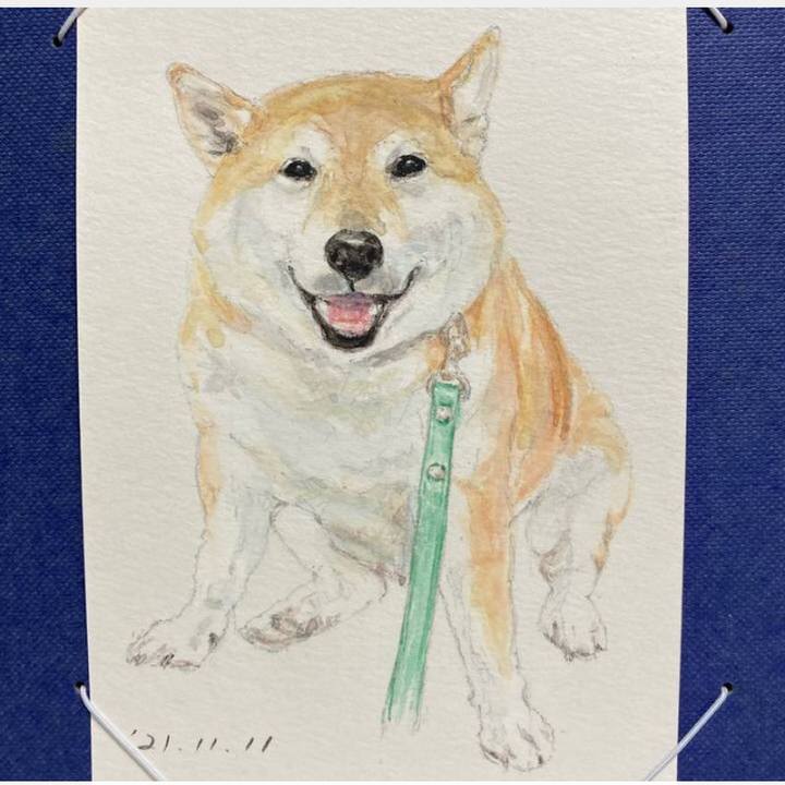 673a601e 922f 42d6 8c26 551afdddf642 1636602783421