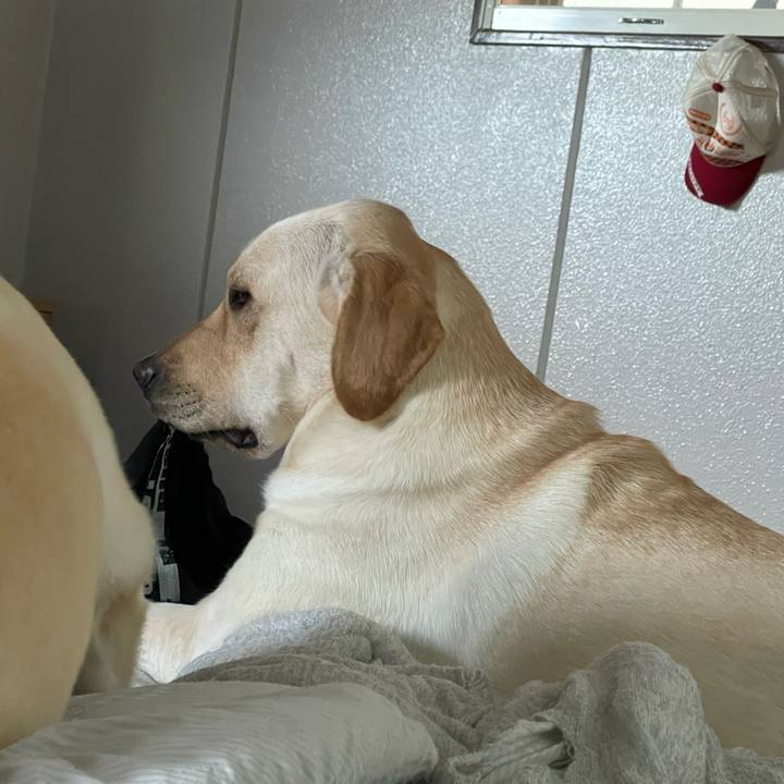 673a7e38 6bd1 49a0 a43b f39cc80ffe88 1659314815519