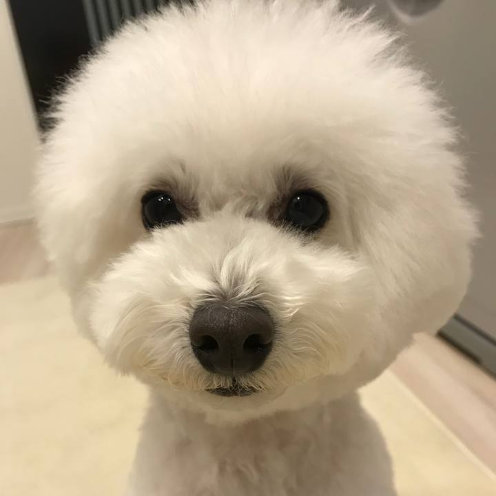 673aaa3f caf7 4c22 9694 b16fb5baf04e 1546232701684