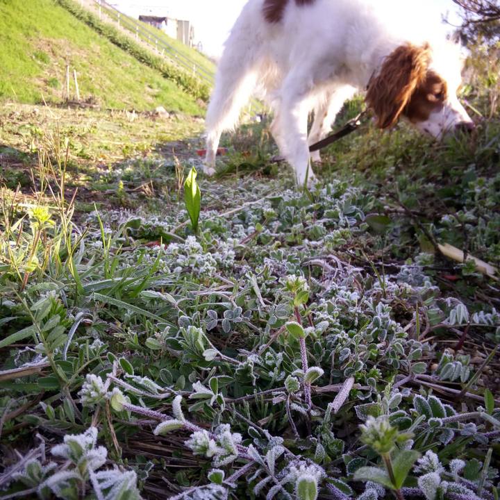 673aafb6 ffa6 4a74 9d72 ace200560a56 1521850032340