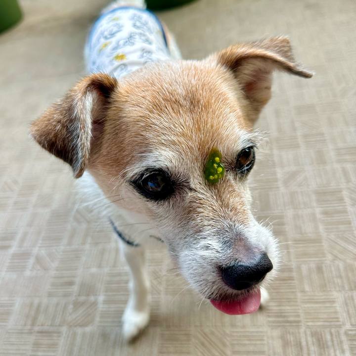 673b033a 930c 46c4 b7ab 7acf00efe9dc 1688536855634