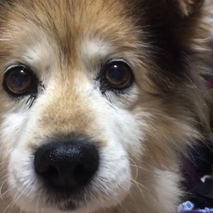 673b8ebd e296 4a45 b6dc b9dae1ab9f01 1550729696812