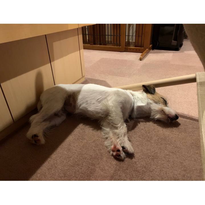 673bbce1 42bf 4638 9997 7c2fff523355 1599397240048