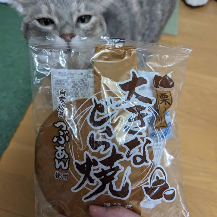 673bf80b 12cd 48d0 b053 d3e1ba0e249e 1695525474727