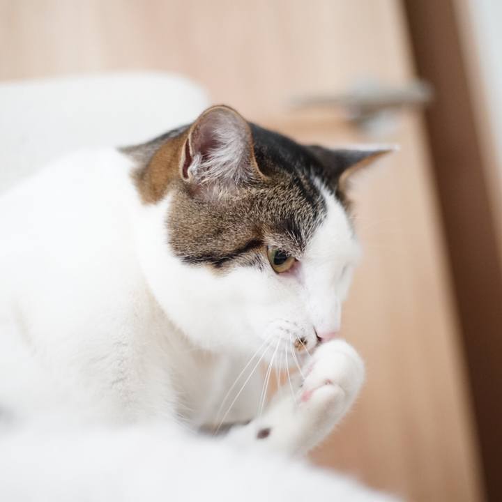 673c64f3 604b 4c99 824f 2f078ea63291 1528673401901