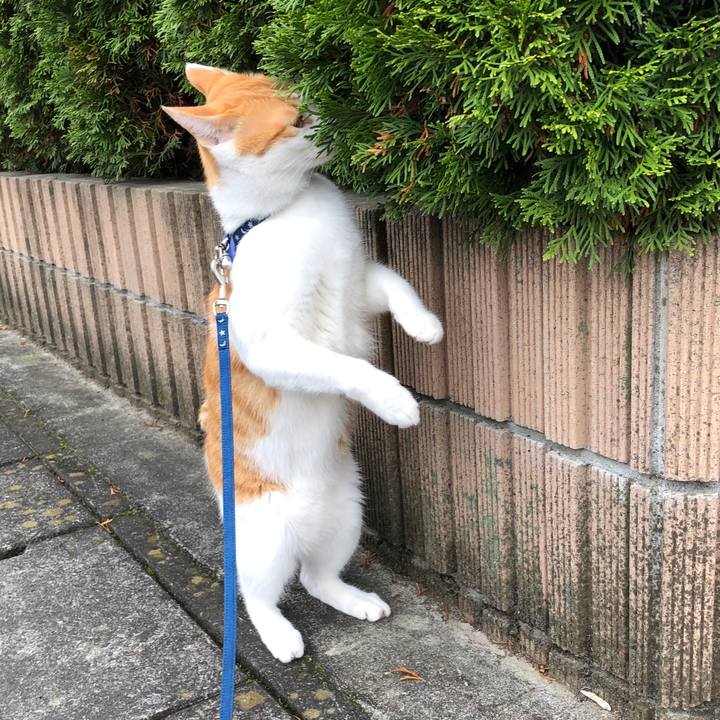 673c6f95 cd52 4a91 8114 7cbe854a80e5 1542873126070