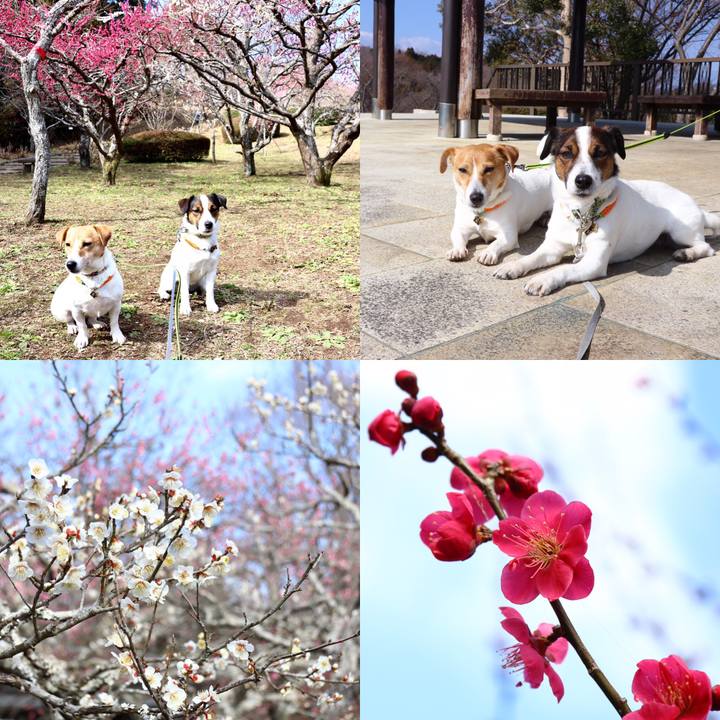 673c72df 3a95 456c 9040 b1aa5fd59ea6 1550378374828