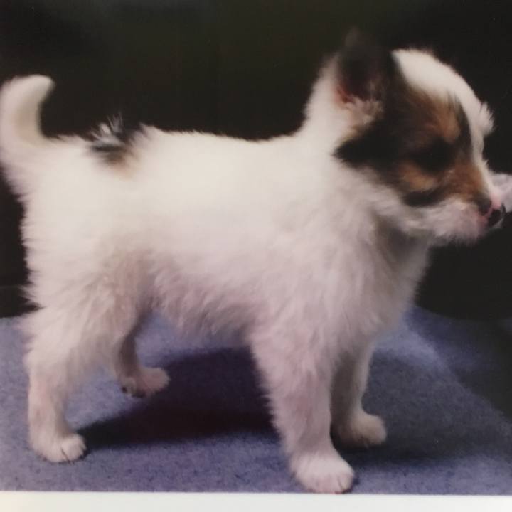 673cb592 e8c3 48a8 ae49 bf6124bd386c 1513437571677