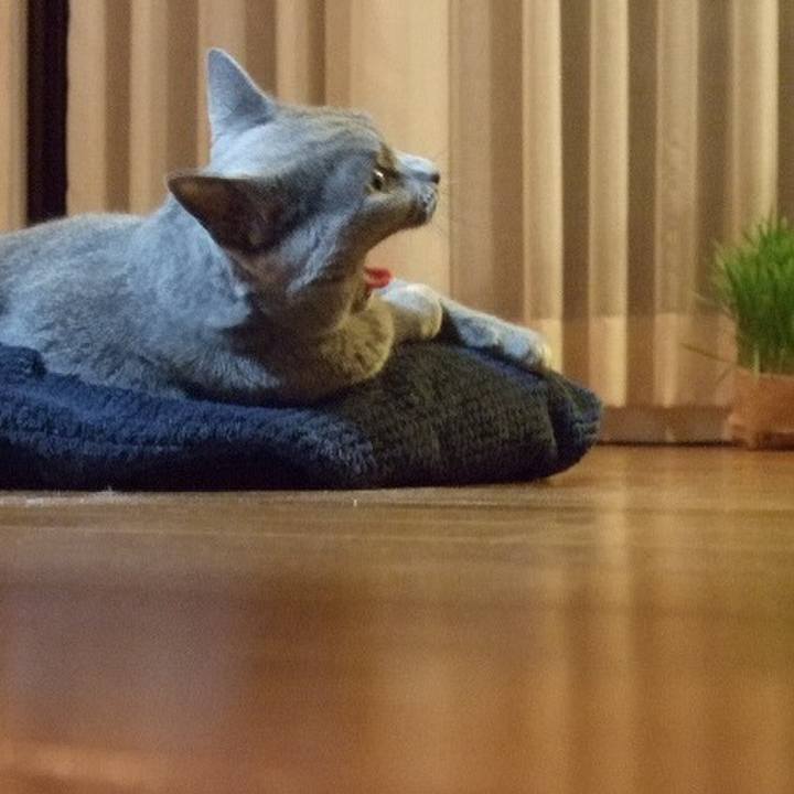 673d0a1c 90e6 4f62 ab7d 9fc647bbd2b8 1508029916224