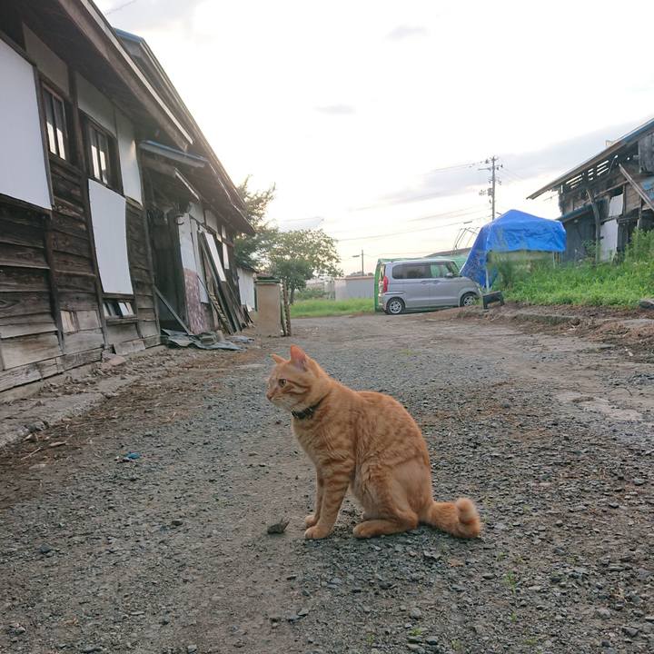 673d1ab0 9d20 42fd 9623 ce008f10fba7 1659994587256