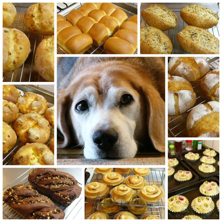 673d1b47 d38a 4e9b 8798 278648a164d5 1664843714831