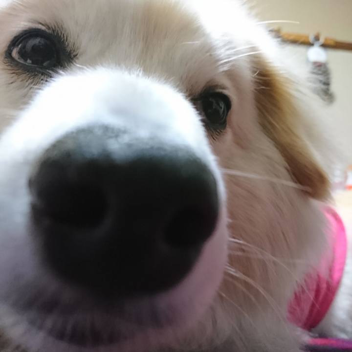 673da480 6b0a 41e2 8687 862cc306ccbe 1528628365562