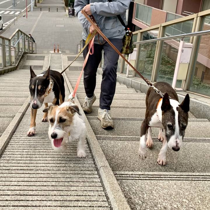 673dbfeb aed7 472a ac22 98f072034df5 1606125979185