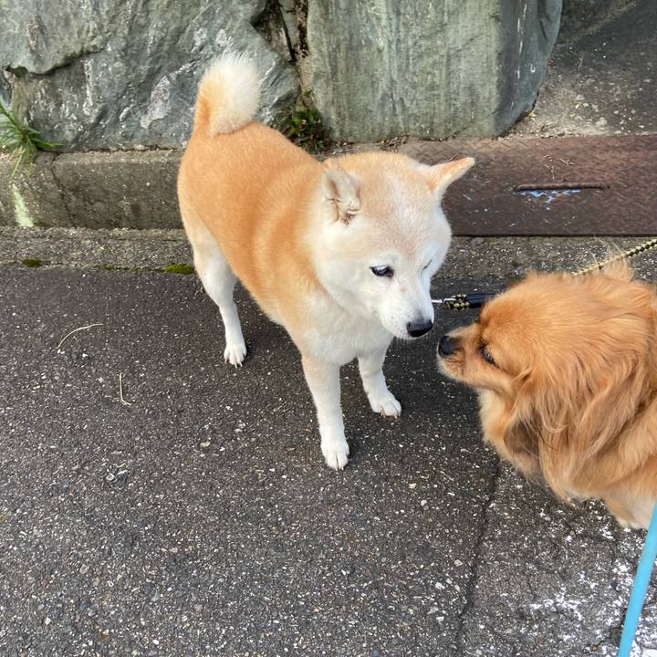 673ddb92 28a7 4af0 adb7 4a69103c0c62 1595195102951