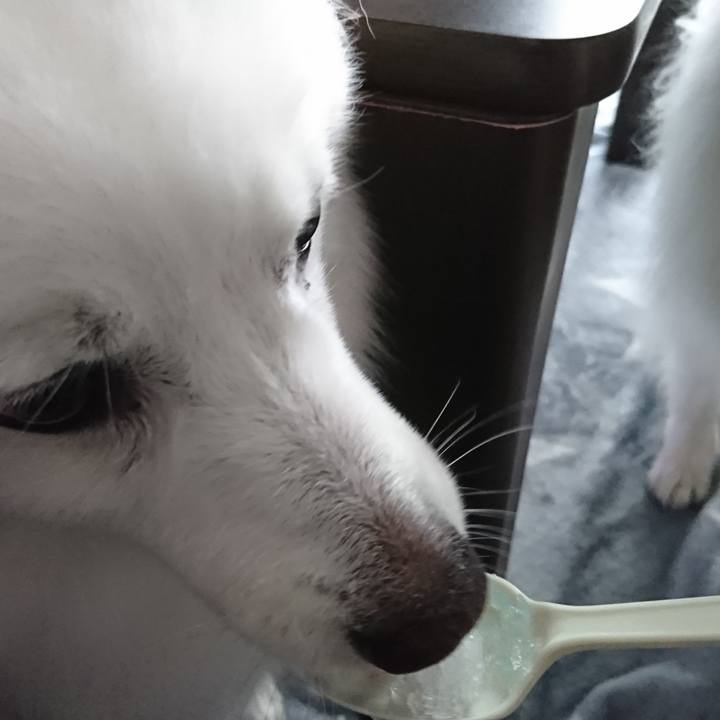 673dffa6 b484 4134 8be2 f539e0d5191b 1590462821042