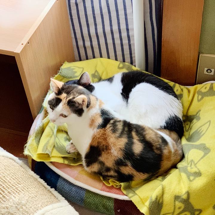 673e2d1d eec0 4813 844e 9283e14c35b4 1541299542362