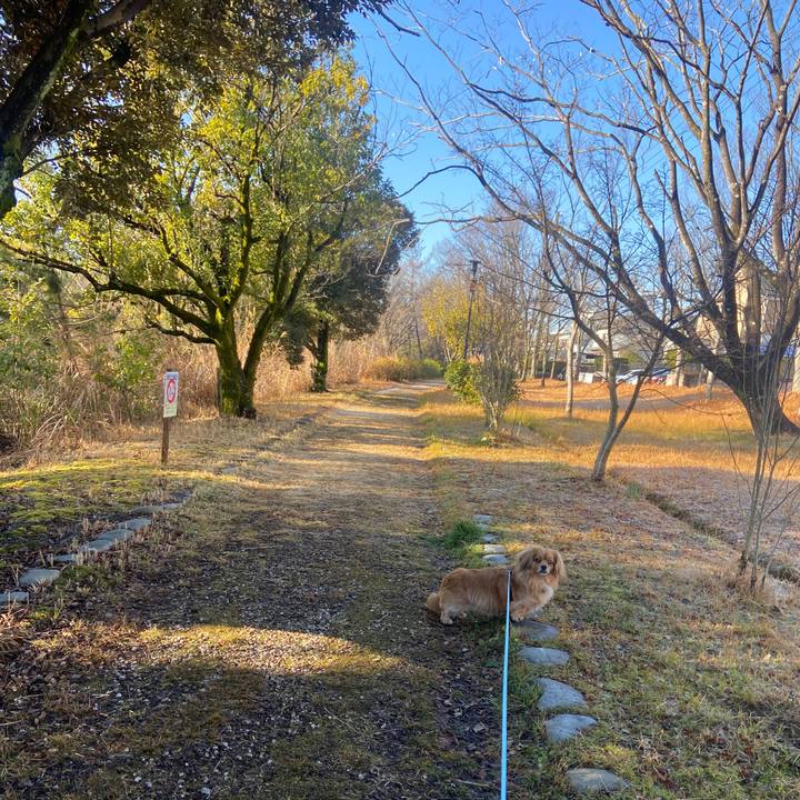 673ebaef 38ce 494b a18d 5c1d49d97c6f 1644540928848