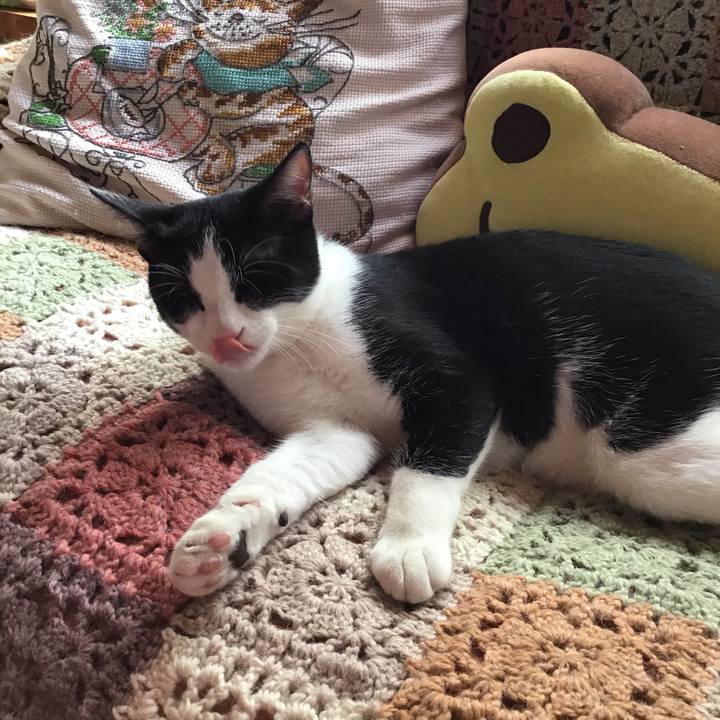 673ec94f 600f 434d bcad 862a389d9e57 1632475837545