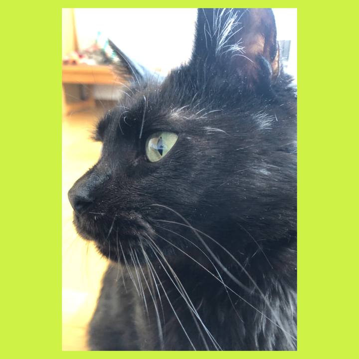 673ee2b2 9e6e 45a9 8588 b470e40f79d3 1587170928581