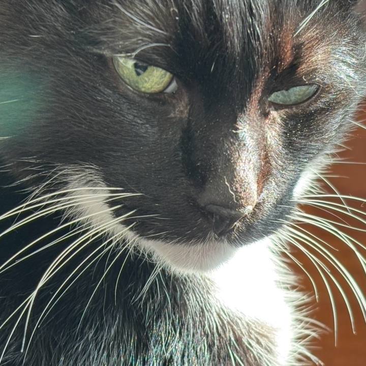 673f18c8 da60 414e aa6f a0d80bffd19f 1764319342124