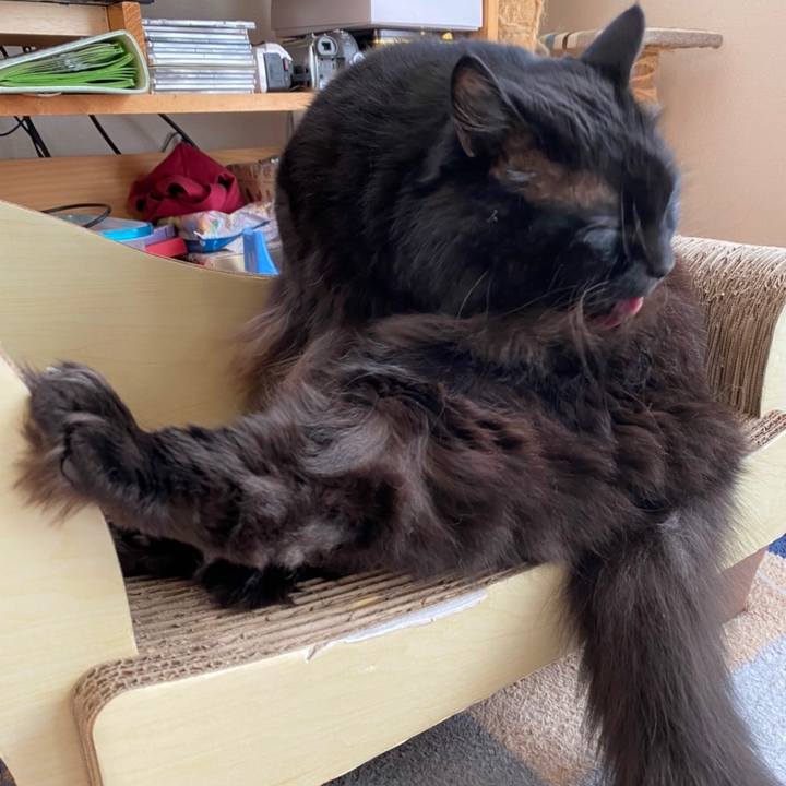 673f1d45 60b4 459d 8ff9 8e9c54aa43c1 1607568522727