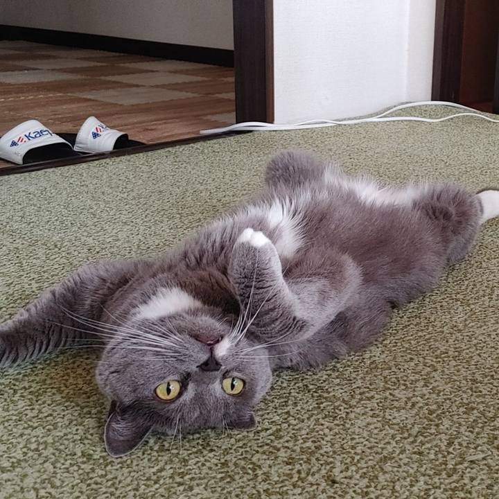 673f320e 66aa 4f8a 9d7f bd9c23e69968 1751491583780