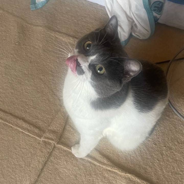 673f4952 72ef 4c76 b0ac 4afe190f7883 1725486941729