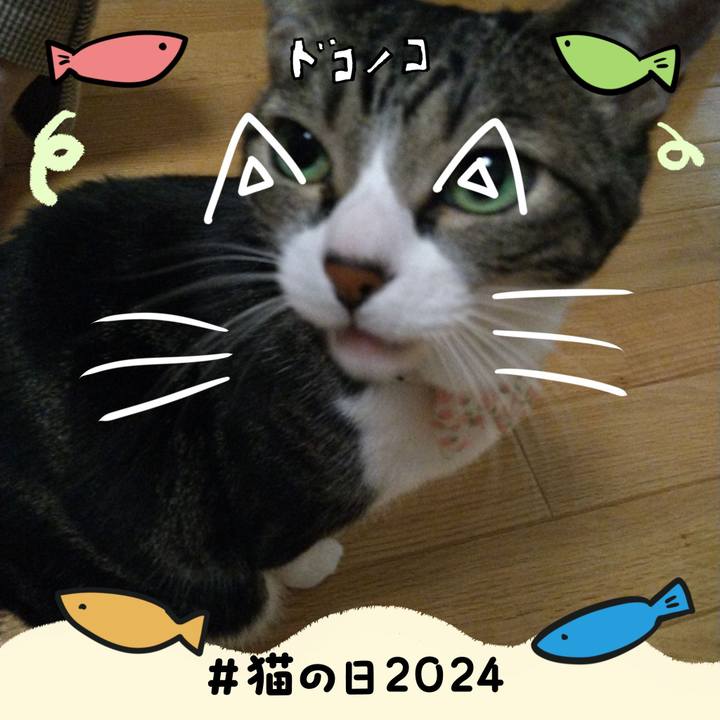 673f4b6f dbdc 4421 b84b a2bf2daf5b54 1708600875595