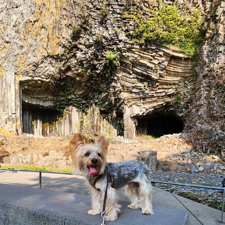 673f4b77 21e1 46a1 b239 f4348490e06d 1725626023185