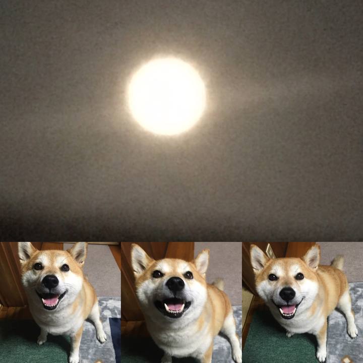 673f7ea0 9f2d 4e20 99fb 0d97e6d359e6 1601634835414