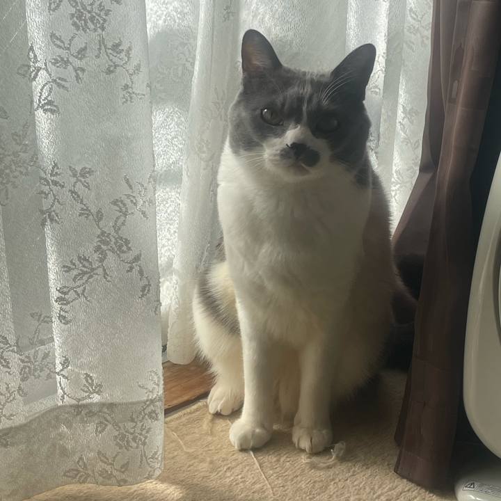 673f7ebe 954c 4204 9d3b 50549635c9b0 1707786477632