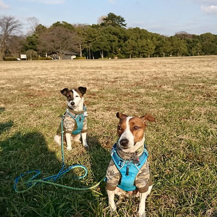 673f811a 9f00 4b07 b42c 273f84668df2 1609050548250