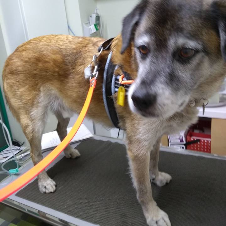 673fa1bf fb16 4bb3 8530 b9be6f6e982d 1568979791542