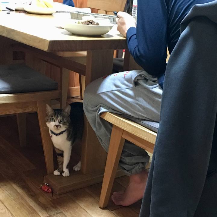 67400563 f668 4986 b5dd 78d9598d2b1d 1550757511705