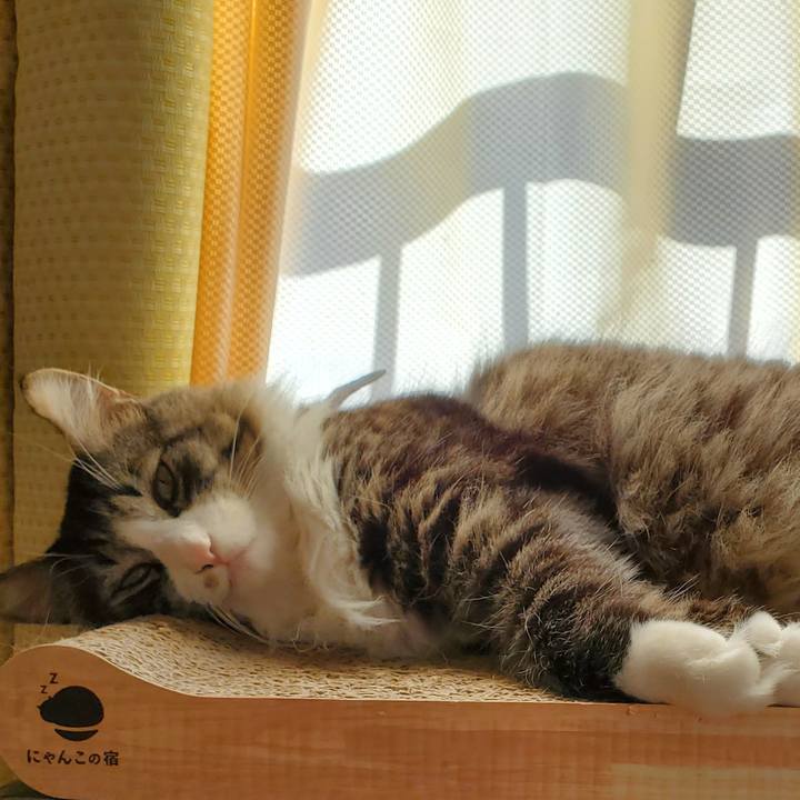 674040fc a878 4833 af95 a7b9171c11b2 1733537283959