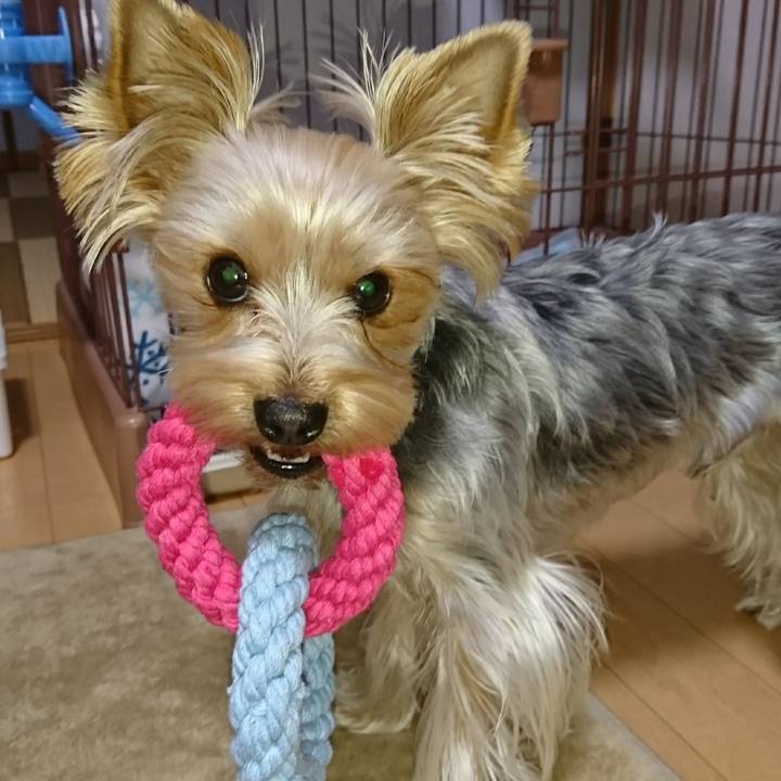 67404344 a941 4e36 9082 9c3e986bfe3a 1514097050138