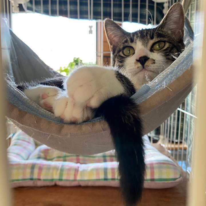 67406cd6 3bca 4a7a a02e e8711da08021 1694133885834