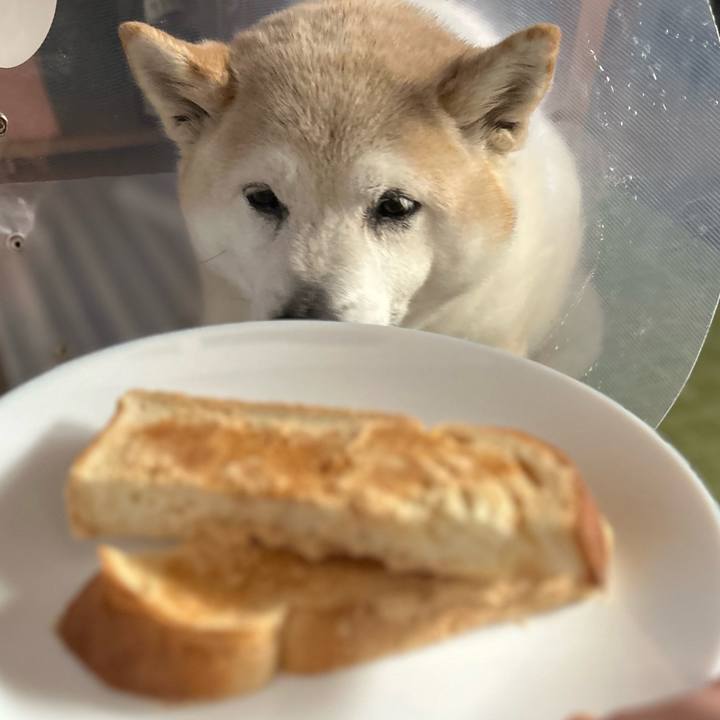 67408fde b830 422c b399 fcb8f15a7665 1739282090945