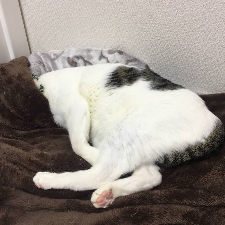 67409966 2b53 4e01 8ad5 20fe30a986a4 1522375114950