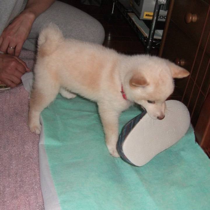 6740b961 6728 4c7b b874 f0fca6bc5416 1669825111155