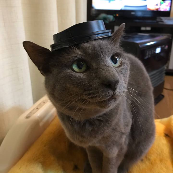 6740d057 a510 4bde 92a2 a48e646f5376 1544354107154