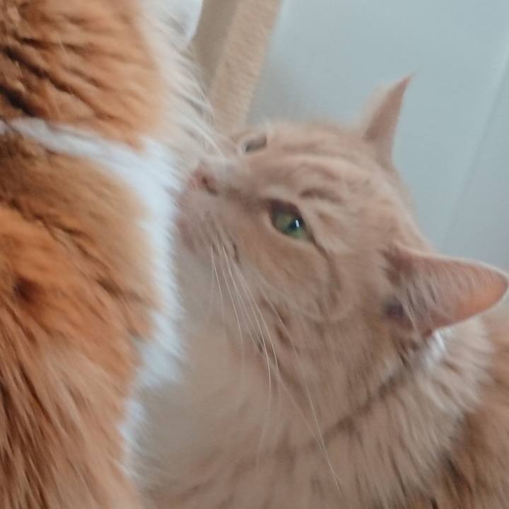 67413079 f279 4fec 8fde add2e0ea6dd5 1524805045750